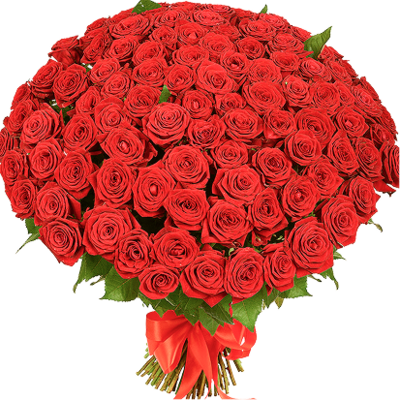 Bunch of Roses (101 flowers) (red, white or pink)